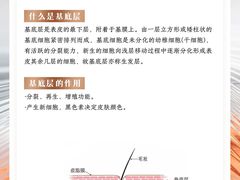 -上海明天广场JW万豪酒店