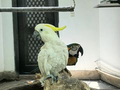 -青藏高原野生动物园