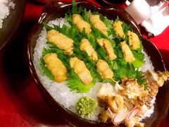 海胆刺身-初花·日本料理