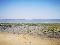 -北海金海湾红树林生态旅游区