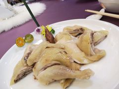 -欢乐海岸美食联盟