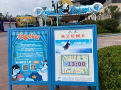 -上海海昌海洋公园
