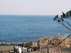 -小麦岛公园