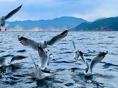 -丽江泸沽湖景区