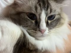 -白兔子密室(长寿路店)