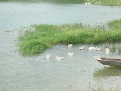 -李小龙乐园(顺德均安店)