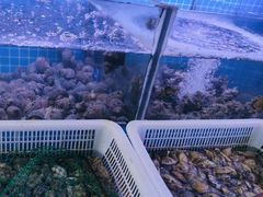 -阿军排档·烧烤