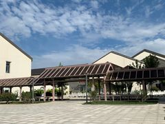 -千年枣林游览区