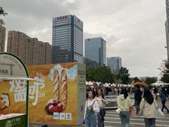 -合景·悠方(成都店)