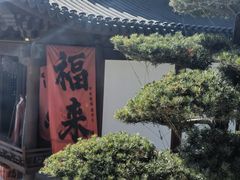 -江心屿景区
