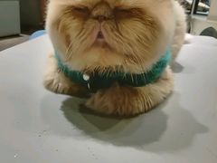 -小时光咖啡馆(开森度假森林店)
