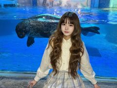 -合肥海洋世界