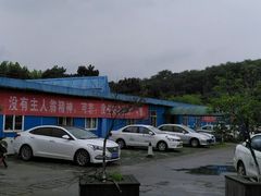 -狮麟驾校