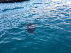 -卡帕莱度假村(西巴丹岛)