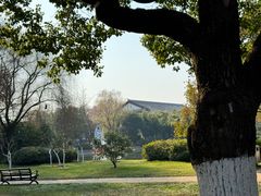 -星城之眼摩天轮