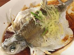 清蒸鳊鱼-东坡海鲜(利丰路店)
