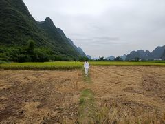 -生态苑农庄(十里画廊遇龙河店)