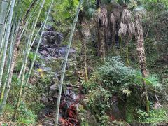 -百杖潭景区