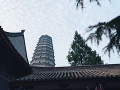 -法门文化景区