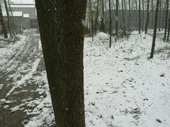 -一家人(凯旋路店)