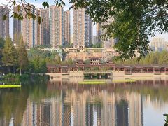 -重庆彩云湖湿地公园