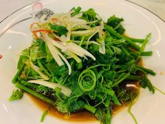 白灼丝瓜尖-渔娘渔家丹东海鲜(东直门店)