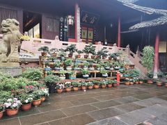 -峨眉山报国寺