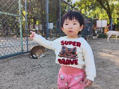 -北京麋鹿生态实验中心