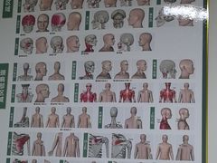 -通透堂中医·精准推拿(旗舰店)