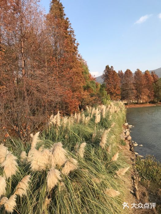 诺贝尔湖公园图片