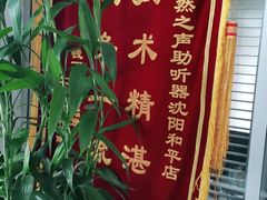 -自然之声助听器·呼吸机(和平店)