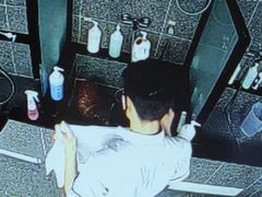 -宠物家(大兴旧宫店)