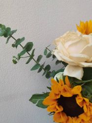 -禾壹净·素颜美问题肌肤修护中心