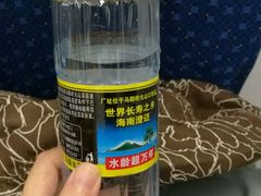 -海口东站