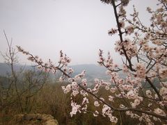 -香山公园