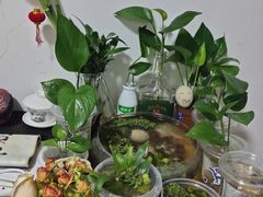 -三圣花乡旅游区