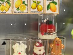 -introlemons(西单更新场·北京首店)