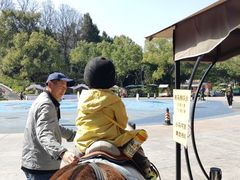 -杭州少年儿童公园