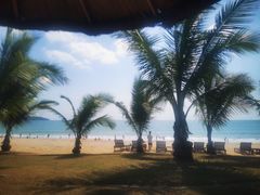 -三亚海棠湾万丽度假酒店