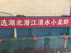 -不炭白烧烤(成都首店)