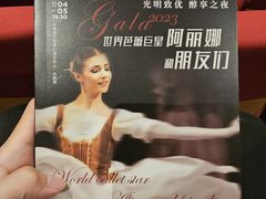 -交通银行前滩31演艺中心