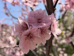 -徐家汇公园