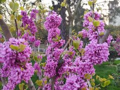 -江南大学-第一食堂(江南苑)