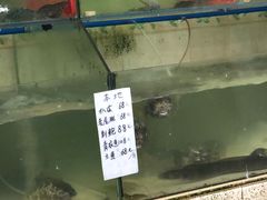 -八方海味餐厅