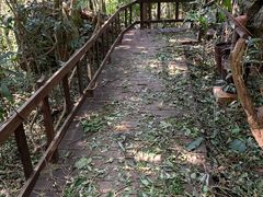 -七仙岭温泉国家森林公园