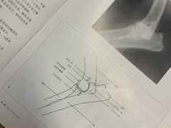 -达爱动物医院·犬猫分区·CT·复杂眼科(远洋山水分院)