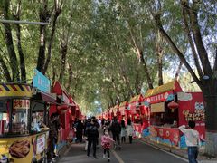 -北戴河集发农业梦想王国