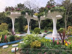 -上海共青森林公园