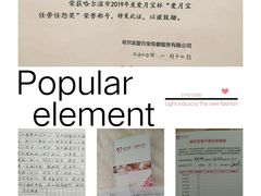 -爱月宝月嫂·育儿嫂(哈尔滨总店)