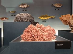 -中国湿地博物馆